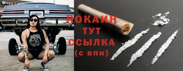 альфа пвп Бородино