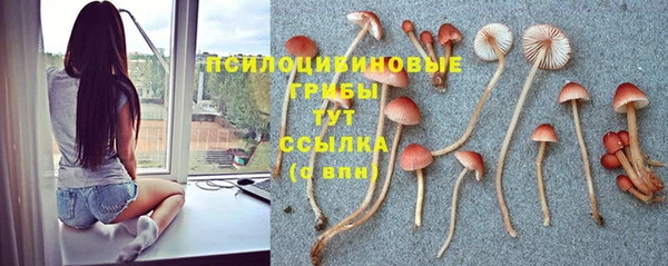 герыч Переславль-Залесский